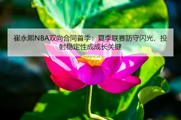 cui-yong-xi-shuang-xiang-he-tong-shou-ji-xia-ji-lian-sai-fang-shou-shan-guang-tou-she-wen-ding-xing-cheng-cheng-zhang-1-570.jpg