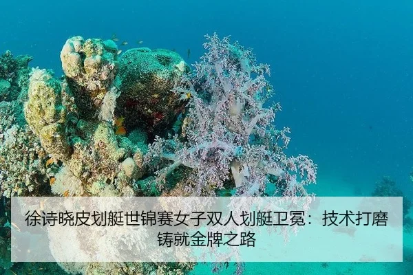 徐诗晓皮划艇世锦赛女子双人划艇卫冕：技术打磨铸就金牌之路