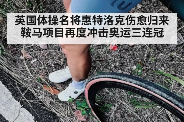 英国体操名将惠特洛克伤愈归来鞍马项目再度冲击奥运三连冠