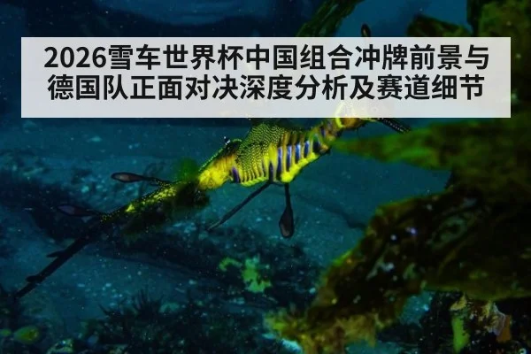 2026雪车世界杯中国组合冲牌前景与德国队正面对决深度分析及赛道细节